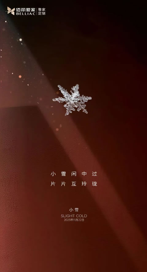 佰丽爱家整家定制|小雪闲中过，片片互玲珑