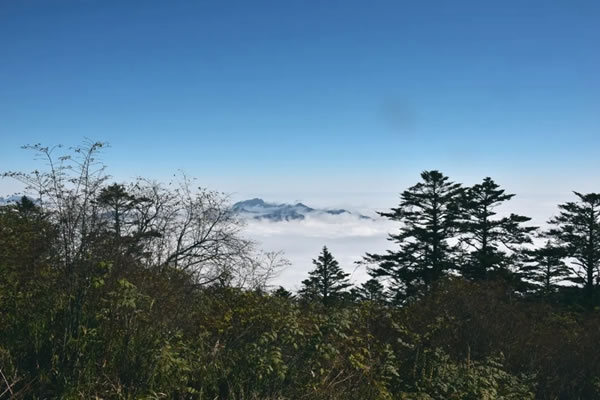 窗含西岭千秋雪，云上攀登柏丽嘉